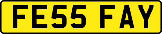 FE55FAY