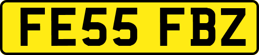 FE55FBZ