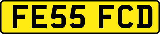 FE55FCD