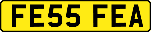 FE55FEA
