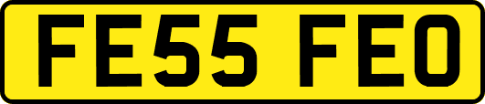 FE55FEO