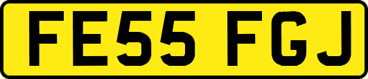 FE55FGJ