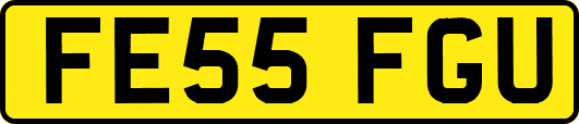 FE55FGU