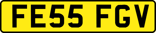 FE55FGV
