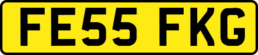 FE55FKG