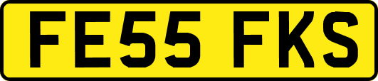 FE55FKS
