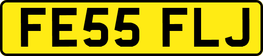 FE55FLJ