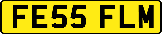 FE55FLM
