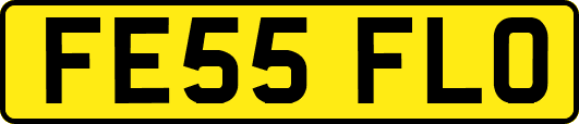 FE55FLO