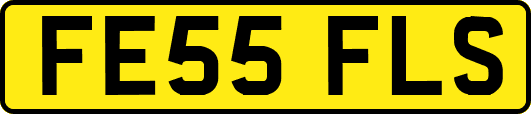 FE55FLS