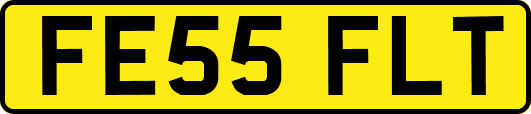 FE55FLT