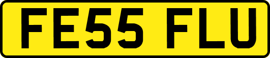FE55FLU