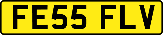 FE55FLV