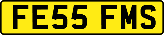 FE55FMS