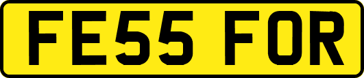 FE55FOR