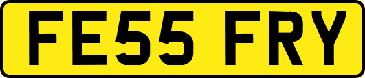 FE55FRY