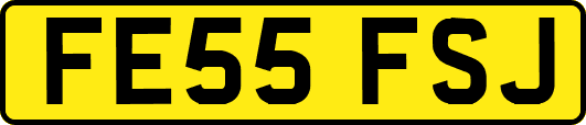 FE55FSJ