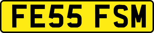 FE55FSM