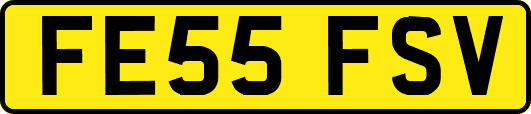 FE55FSV