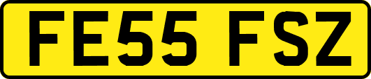 FE55FSZ