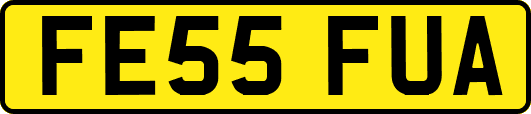 FE55FUA