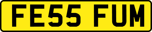 FE55FUM