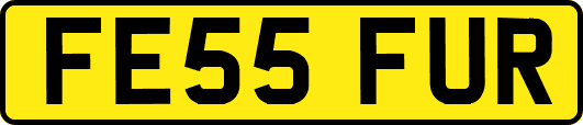 FE55FUR