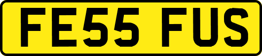 FE55FUS