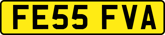 FE55FVA