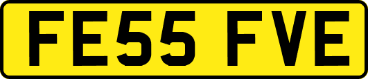 FE55FVE
