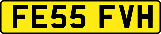 FE55FVH