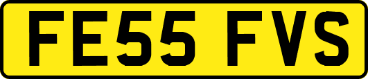 FE55FVS
