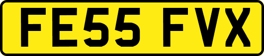 FE55FVX
