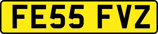 FE55FVZ