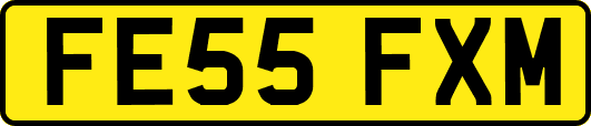 FE55FXM