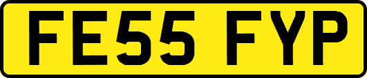 FE55FYP