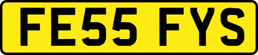 FE55FYS