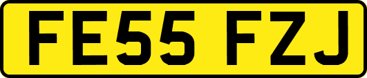 FE55FZJ