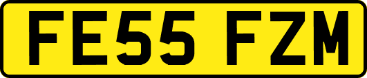FE55FZM