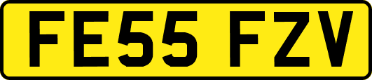 FE55FZV
