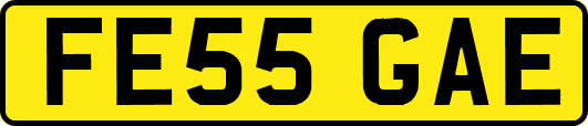 FE55GAE