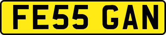 FE55GAN