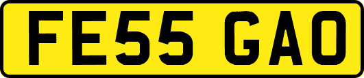 FE55GAO