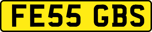 FE55GBS