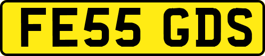FE55GDS