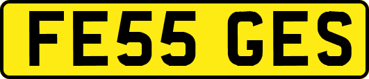FE55GES