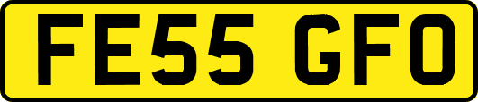 FE55GFO