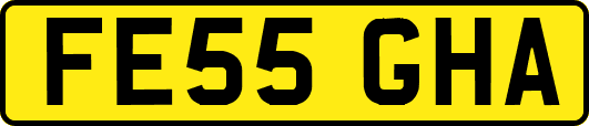 FE55GHA