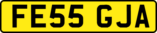 FE55GJA