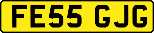 FE55GJG